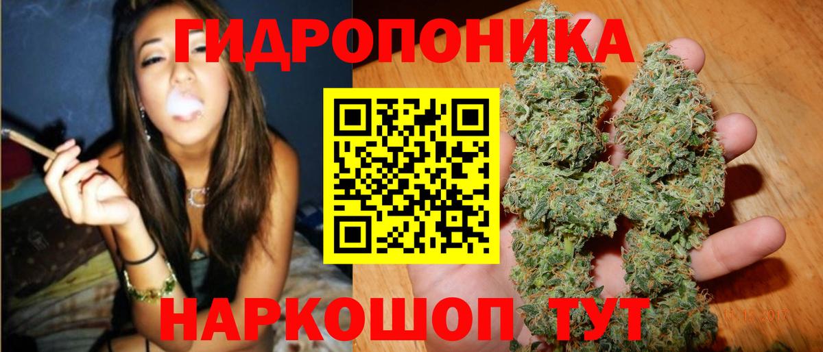 Владикавказ  Бошки марихуана марихуана  Вход с VPN  Бошки Шишки планчик 